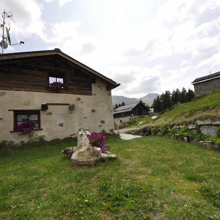 Mountain Chalet Scoiattolo By Livigno Accomodation Dış mekan fotoğraf