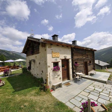 Mountain Chalet Scoiattolo By Livigno Accomodation Dış mekan fotoğraf