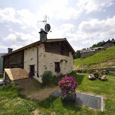 Mountain Chalet Scoiattolo By Livigno Accomodation Dış mekan fotoğraf