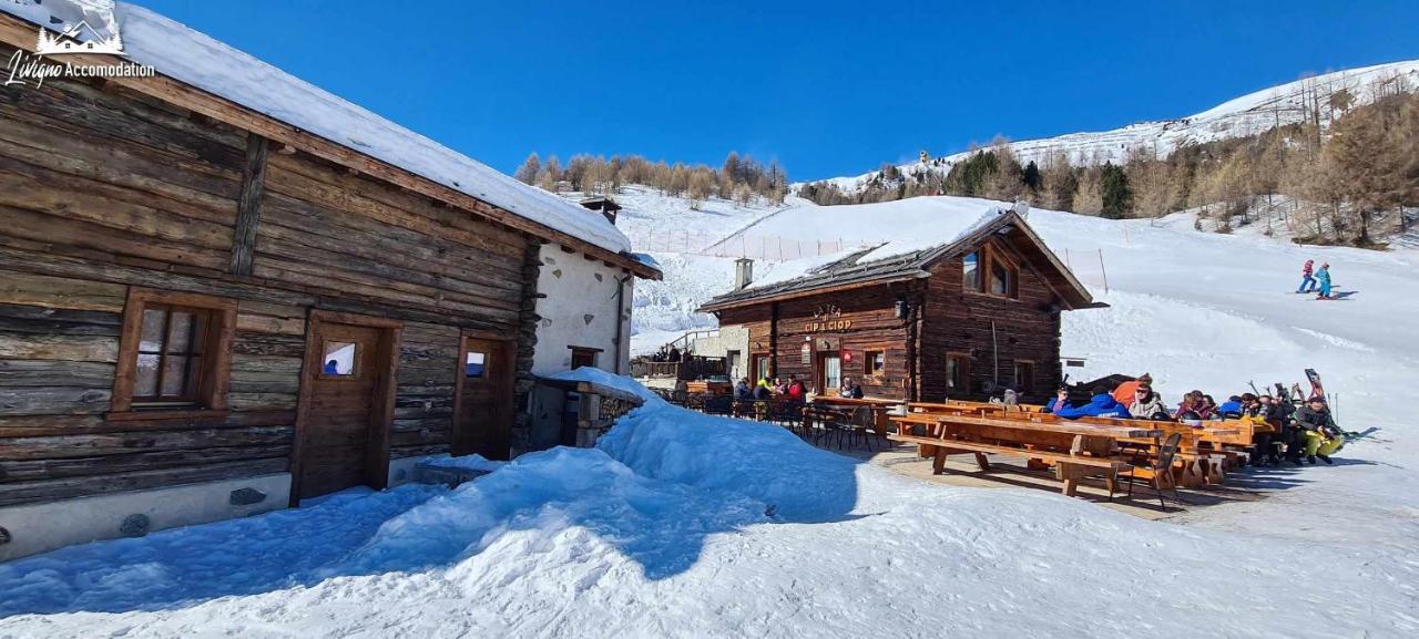 Mountain Chalet Scoiattolo By Livigno Accomodation Dış mekan fotoğraf