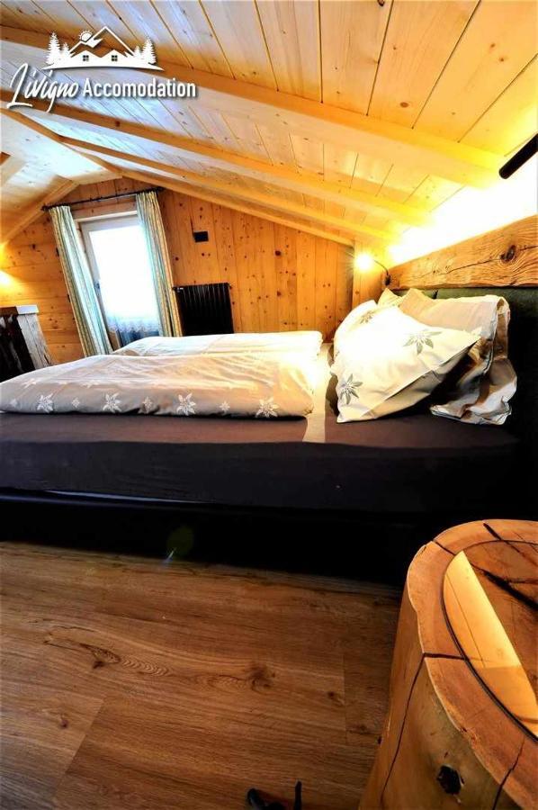 Mountain Chalet Scoiattolo By Livigno Accomodation Dış mekan fotoğraf