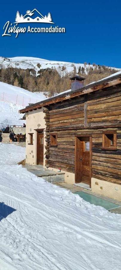 Mountain Chalet Scoiattolo By Livigno Accomodation Dış mekan fotoğraf