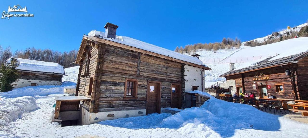 Mountain Chalet Scoiattolo By Livigno Accomodation Dış mekan fotoğraf