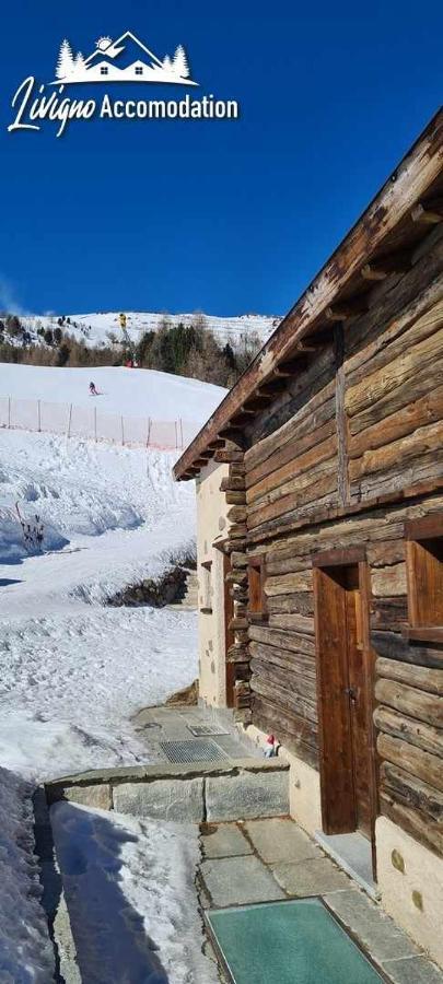 Mountain Chalet Scoiattolo By Livigno Accomodation Dış mekan fotoğraf