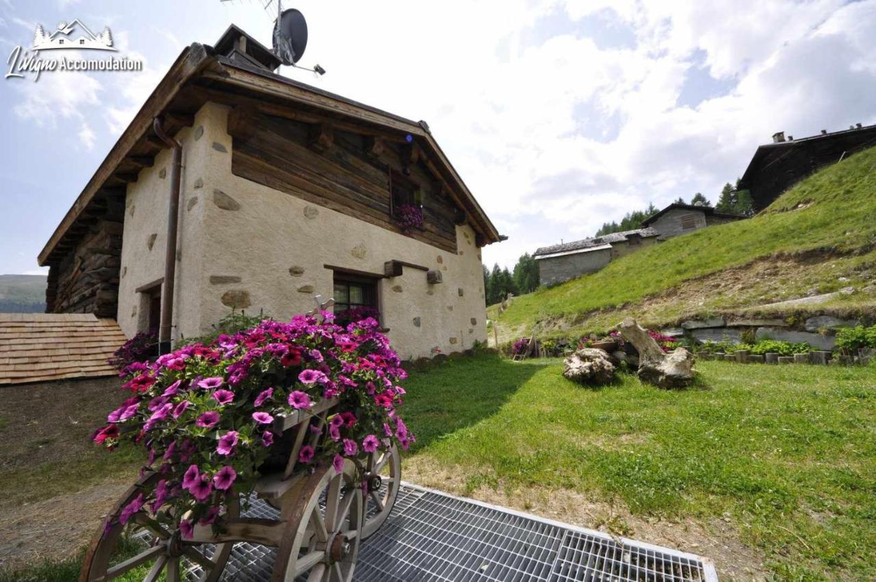 Mountain Chalet Scoiattolo By Livigno Accomodation Dış mekan fotoğraf
