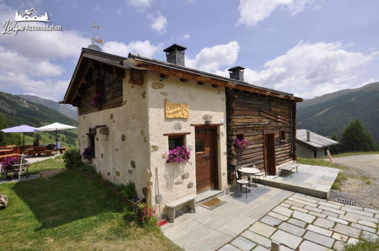 Mountain Chalet Scoiattolo By Livigno Accomodation Dış mekan fotoğraf