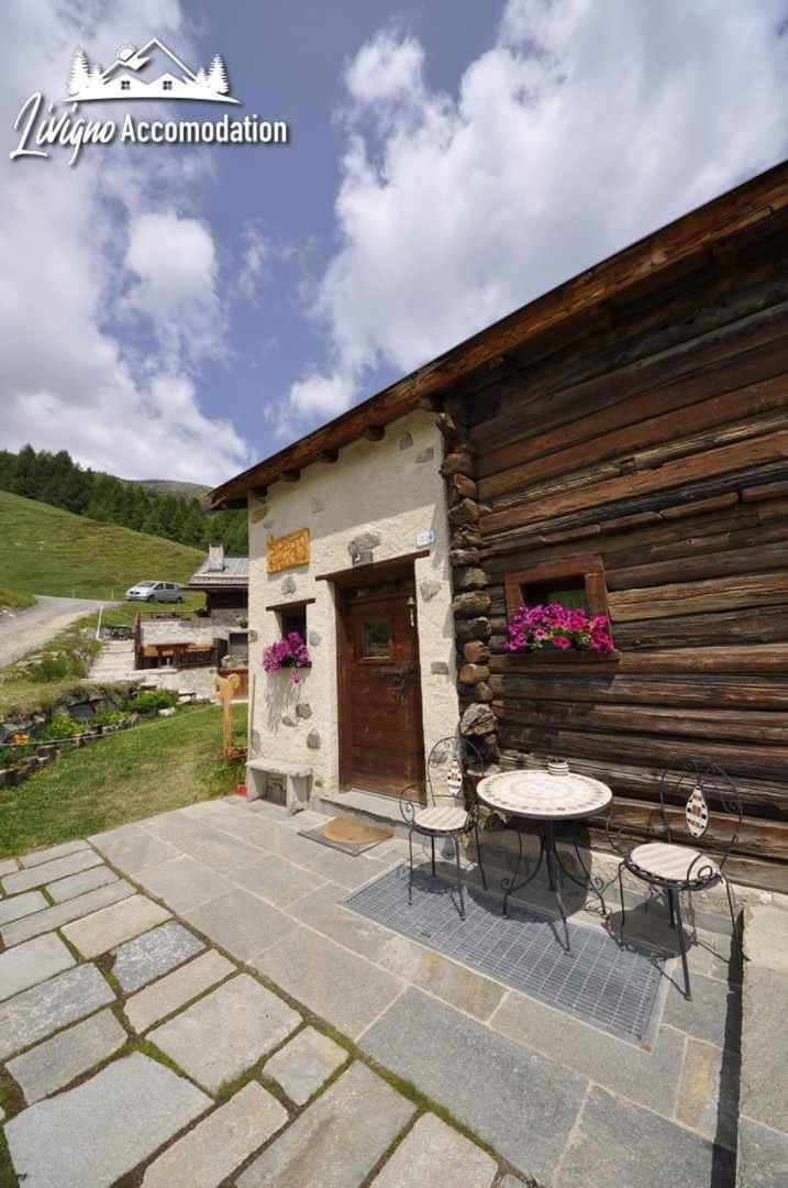 Mountain Chalet Scoiattolo By Livigno Accomodation Dış mekan fotoğraf