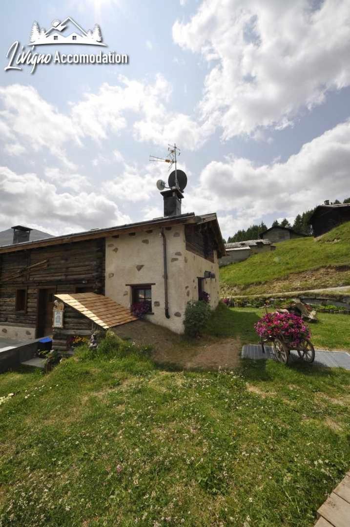 Mountain Chalet Scoiattolo By Livigno Accomodation Dış mekan fotoğraf