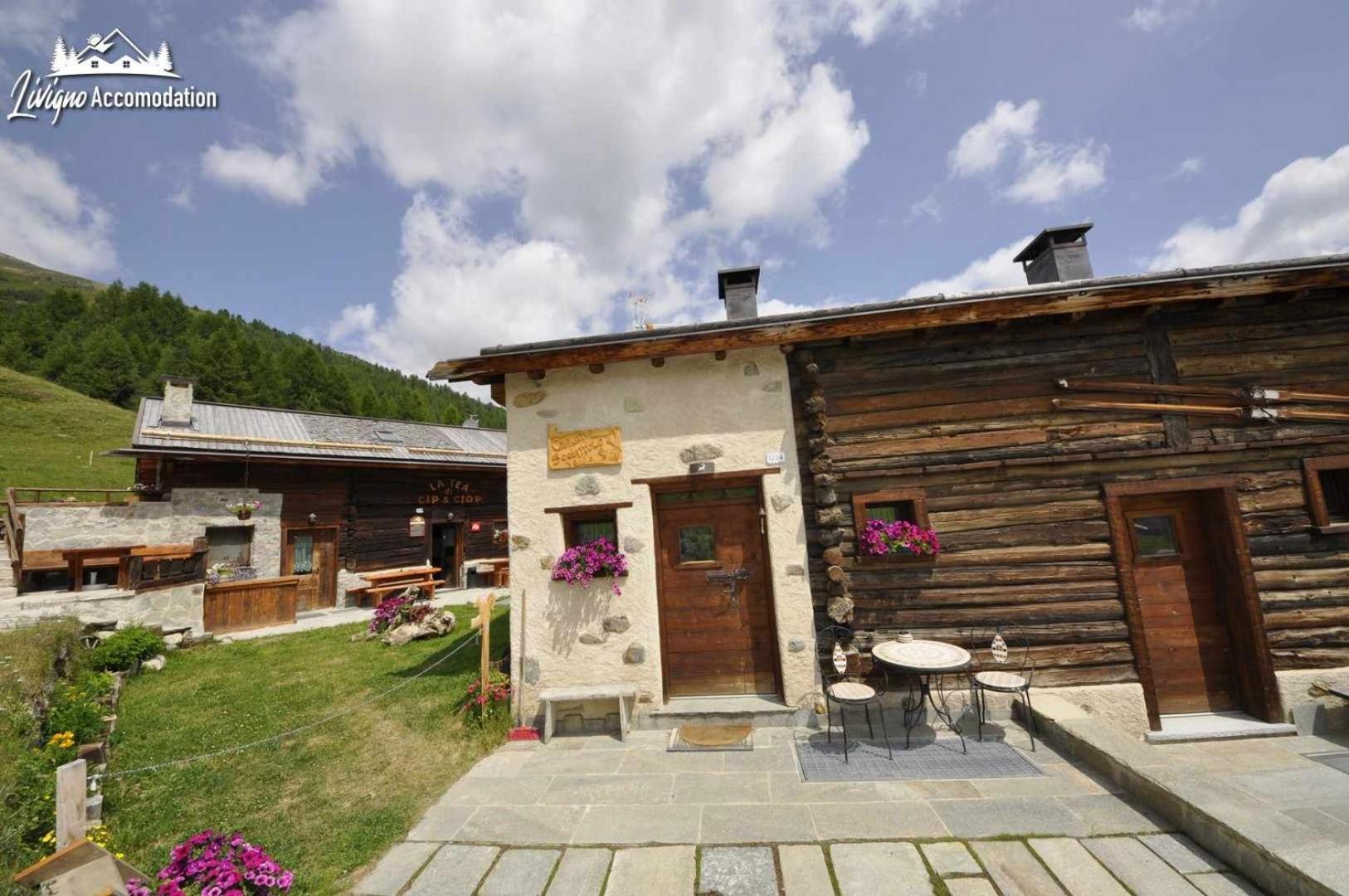 Mountain Chalet Scoiattolo By Livigno Accomodation Dış mekan fotoğraf
