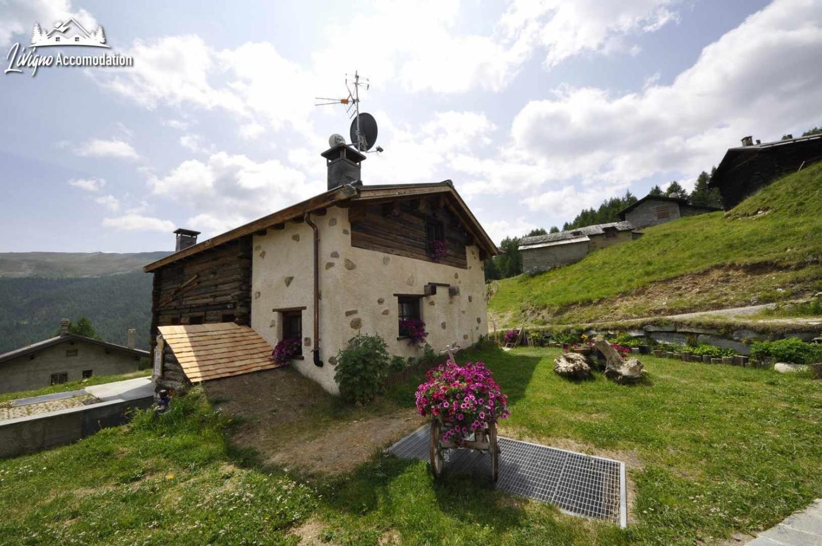 Mountain Chalet Scoiattolo By Livigno Accomodation Dış mekan fotoğraf